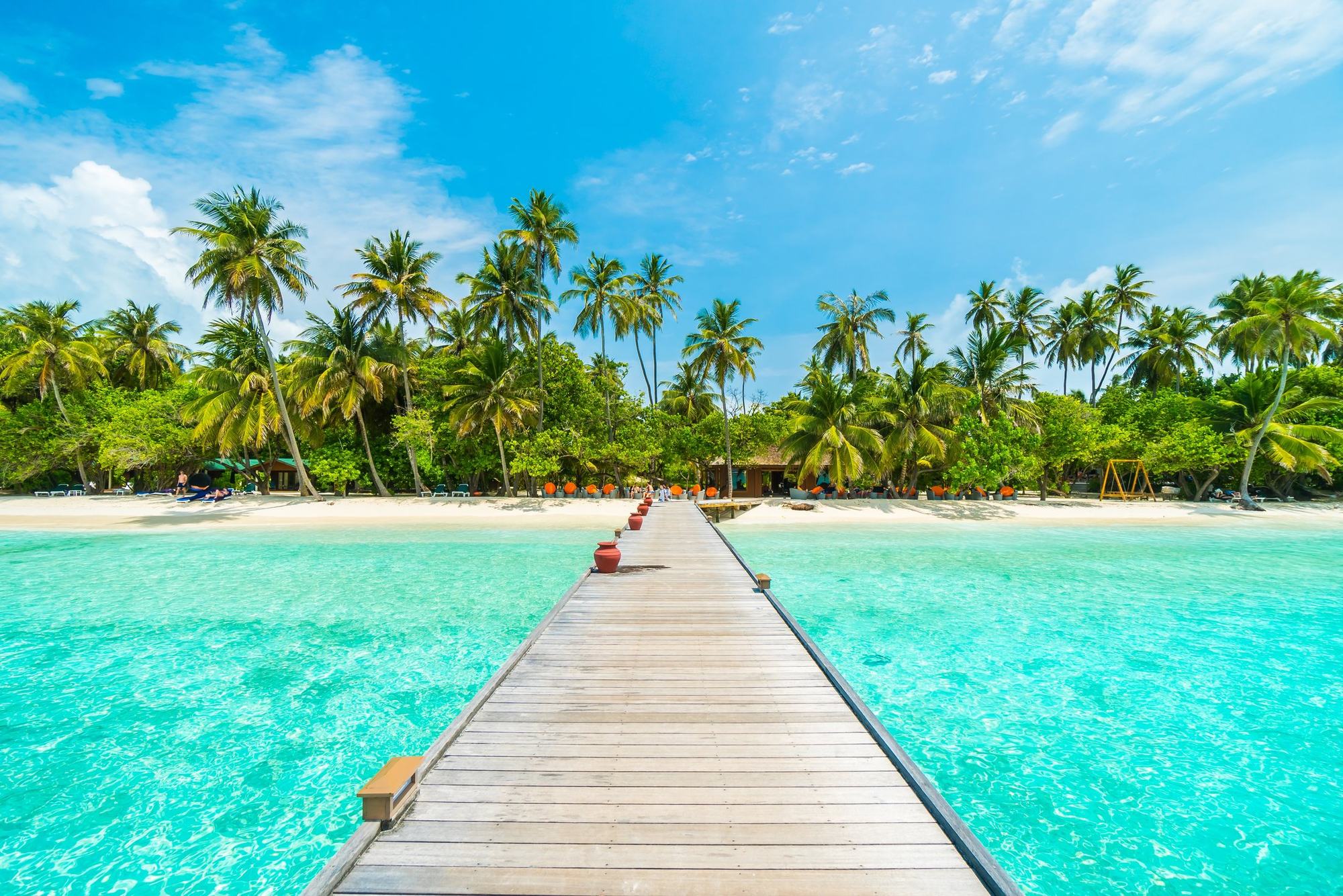Wooden jetty leading to a Maldives island