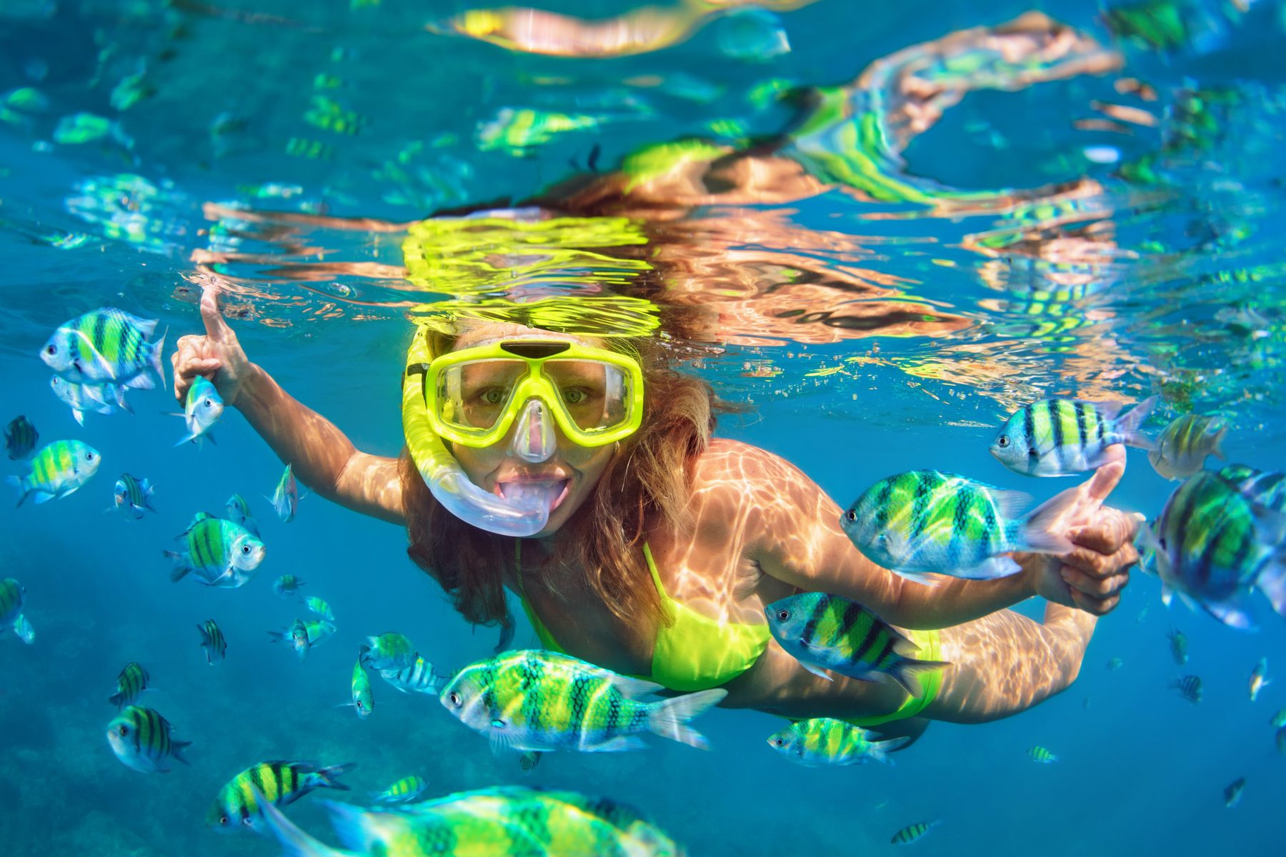 Snorkelling among tropical fish in the Maldives