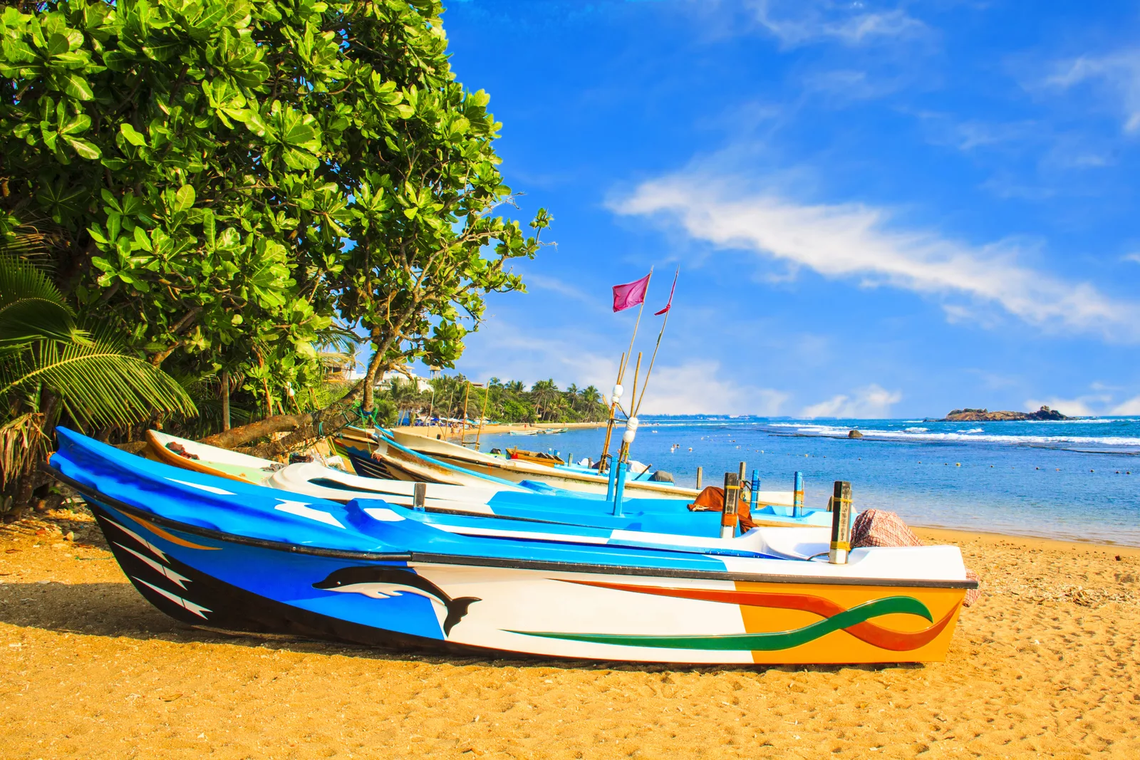 Colourful fishing boats beside the beach in Bentota, Sri Lanka