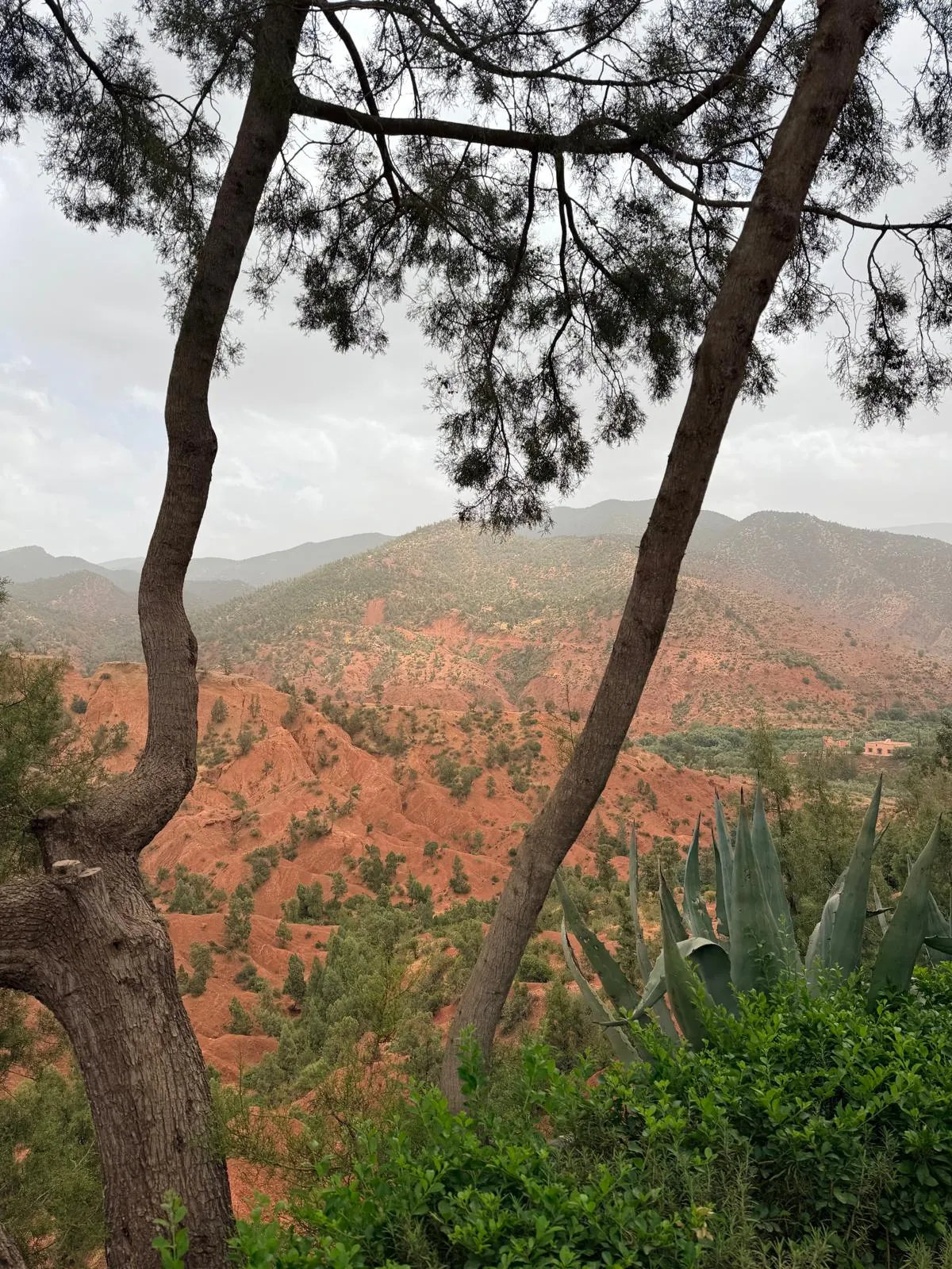 Red valleys and green hills in Morocco's Atlas Mountains
